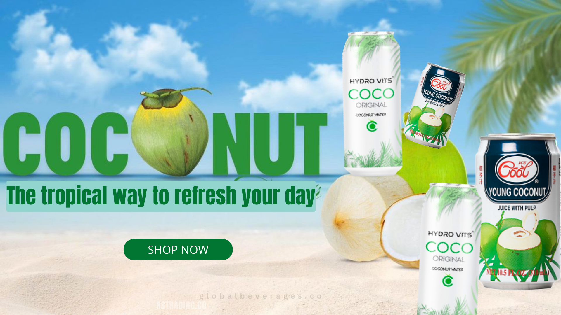 BUY COCONUT WATER IN DUBAI | UAE