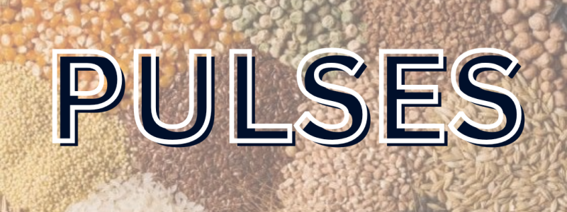 BUY PULSES,GRAINS,DAL AT GLOBAL BEVERAGES SUPPLIER AT BEST PRICE IN UAE,DUBAI,ABUDHABI